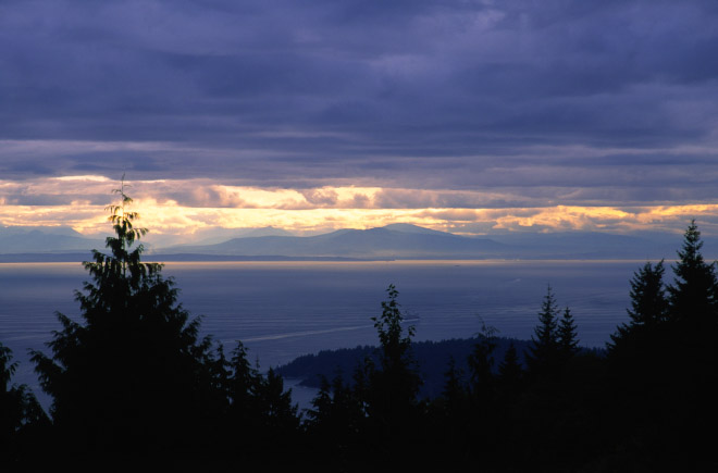 Looking Down Cypress.jpg