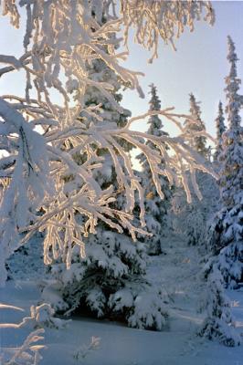 Beauty of the Artic Circle