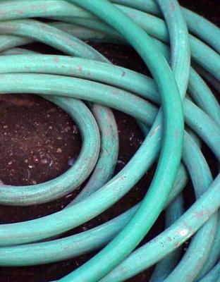 hose *