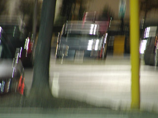 P1010001a.jpg