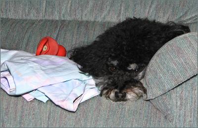 u44/isabel95/medium/28355841.MeandmyBinky.jpg