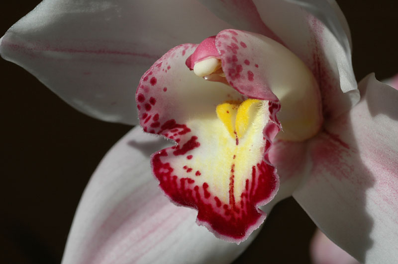 DSC_4114pslow res L.jpg