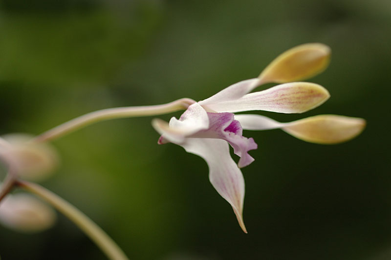 DSC_4007pslow res.jpg