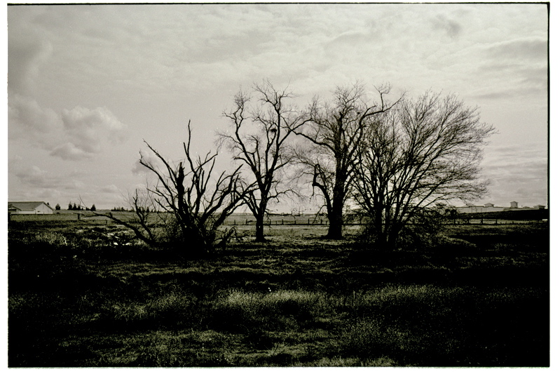 Scanned-Picture330144.jpg