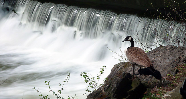 Bronx River