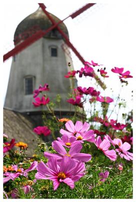 Solvang Vol1