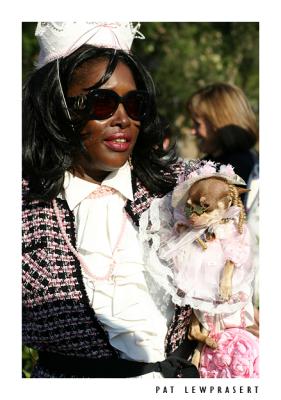 Dog Parade Vol1