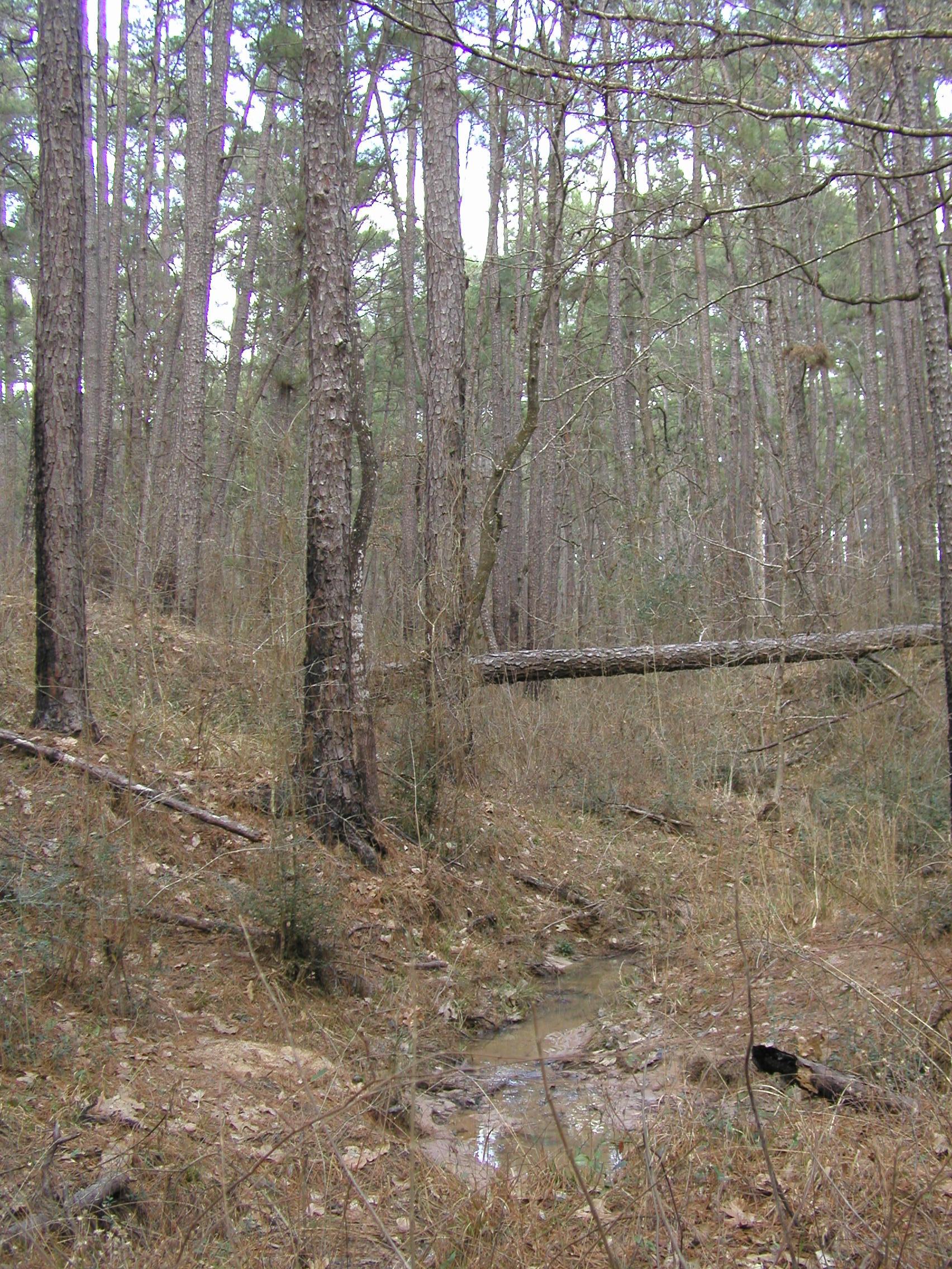 P1013626.JPG