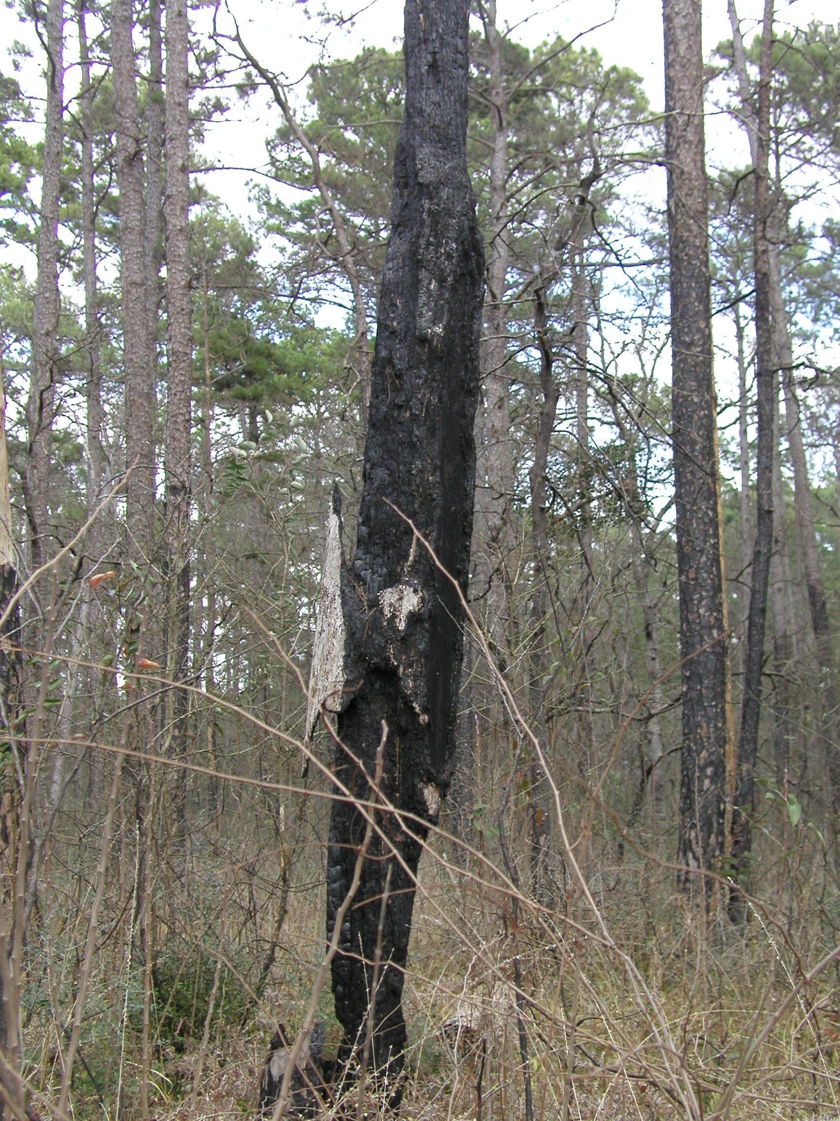 P1013629.JPG