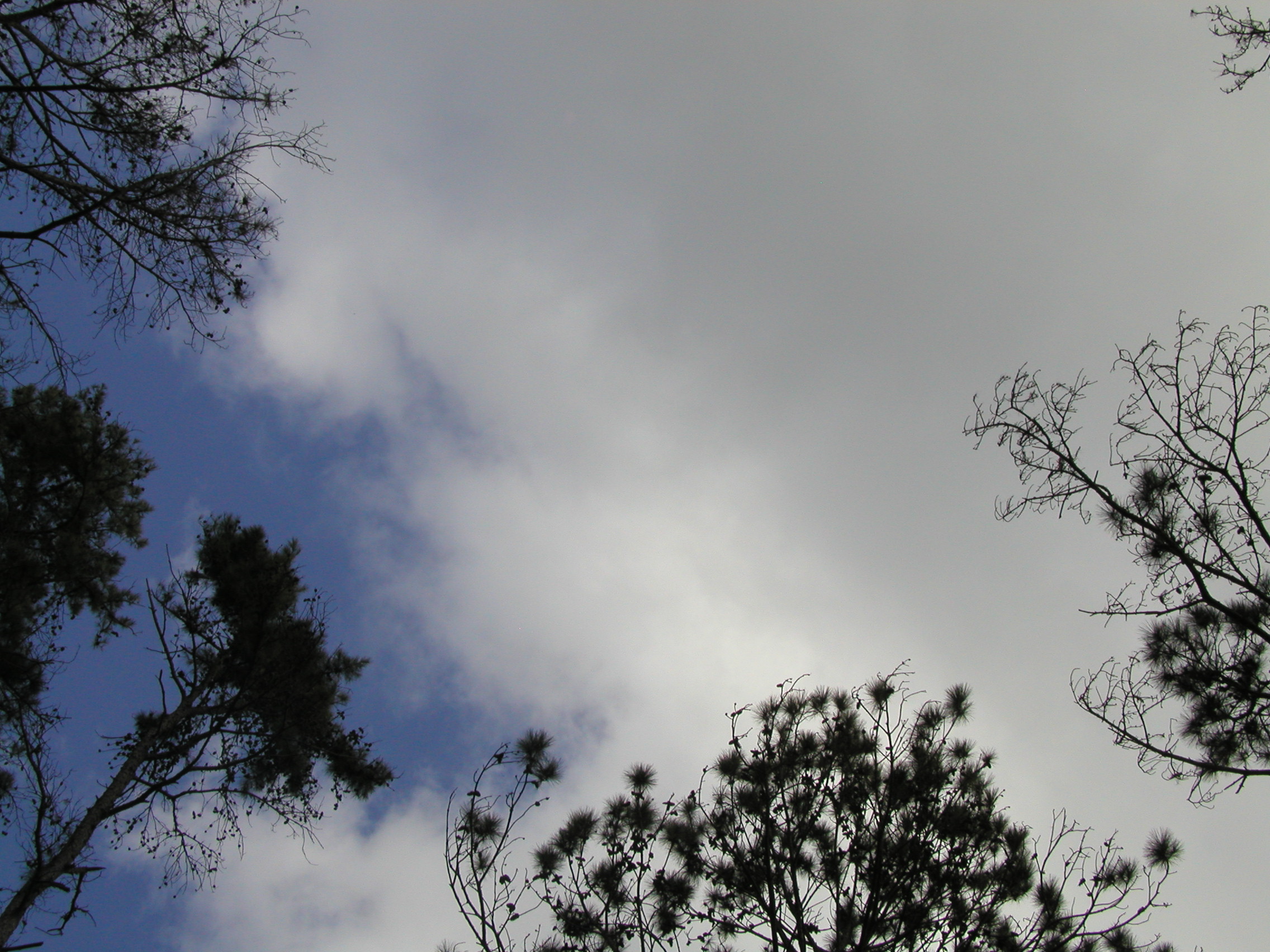 P1013630.JPG