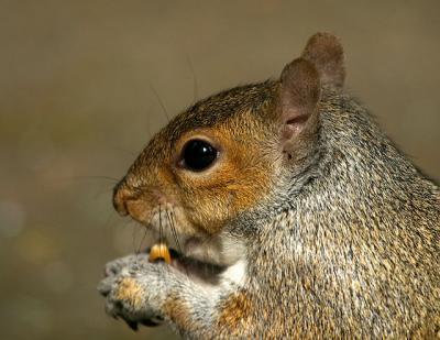 CRW_5556.jpg