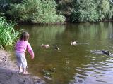 nicole_feeds_ducks.jpg
