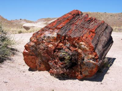 Painted Desert and Petrified Forest, Arizona, USA, April 2004