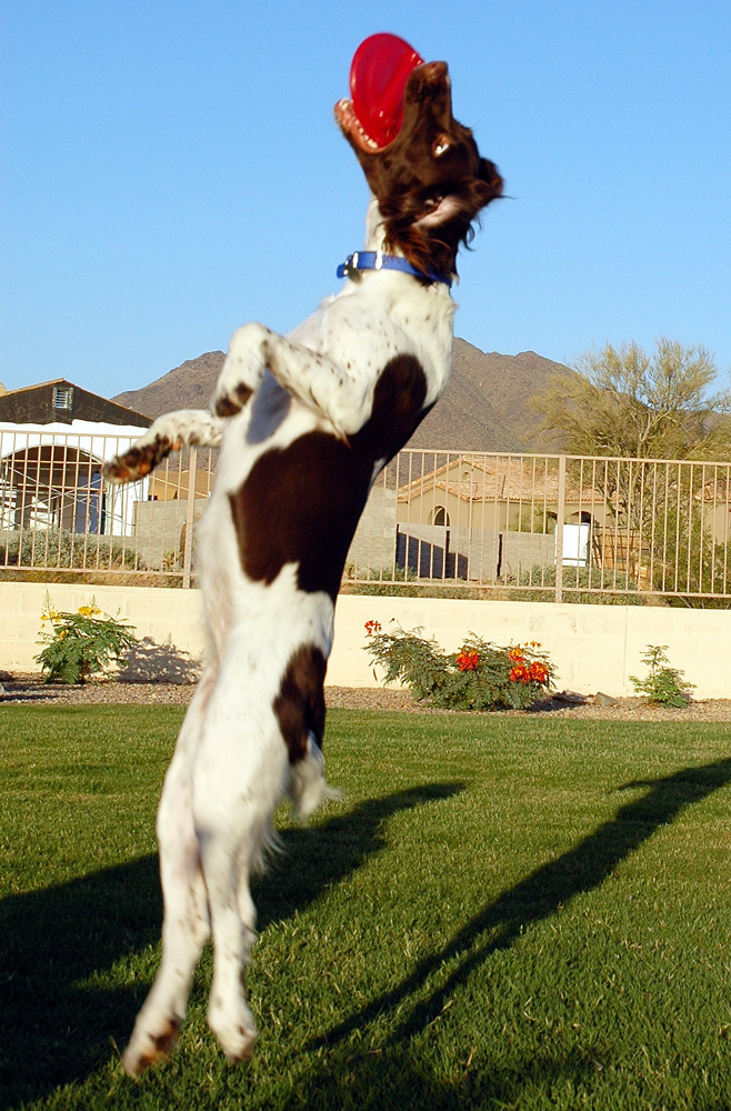 DSC_1509a.jpg