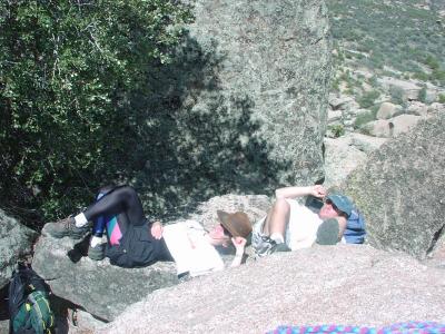 Nappers