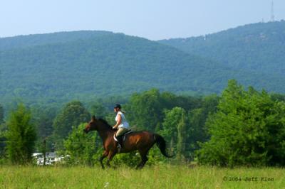 cristi_field_landscape.jpg