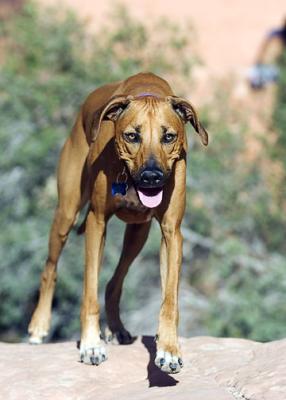 DSC_0096-small.jpg