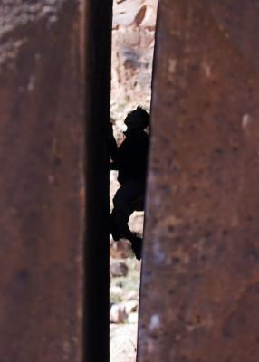 DSC_0062-small.jpg