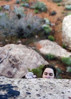 DSC_0208-small.jpg