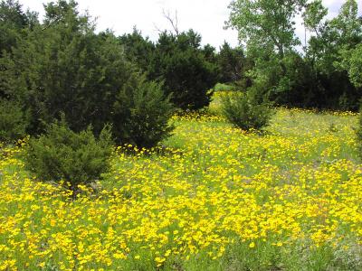 along I-35