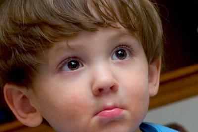CRW_4865100crop.jpg