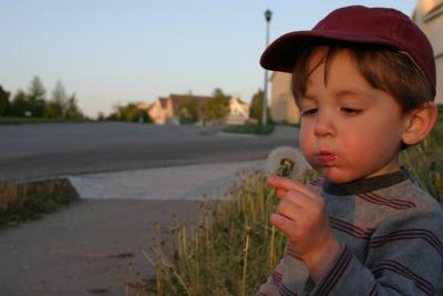 IMG_4801rz.jpg