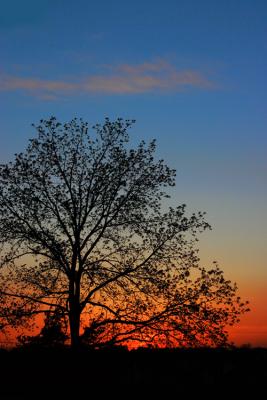 IMG_4873rz.jpg