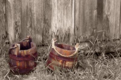 Still Life