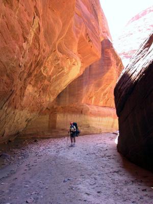 Linda Entering The Narrows, Paria Canyon