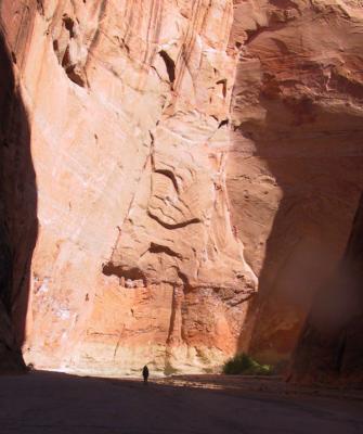 Linda Dwarfed By The Huge Canyon Walls