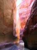 The Gang In The Canyon