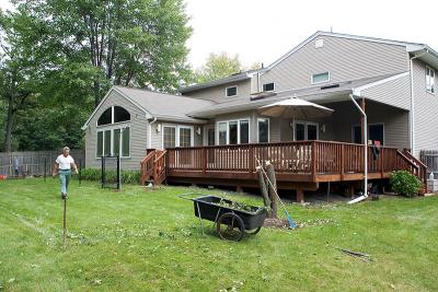 Just getting started. View of my backyard.