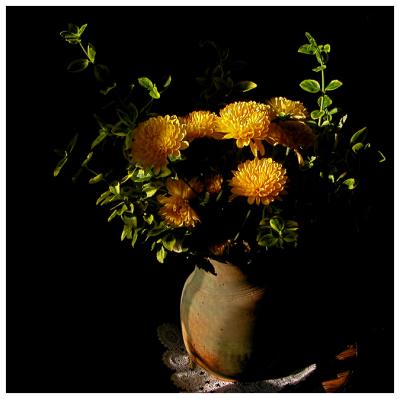 u44/jlm/medium/28462092.bouquet.jpg