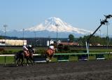 Emerald Downs and Mt Rainier