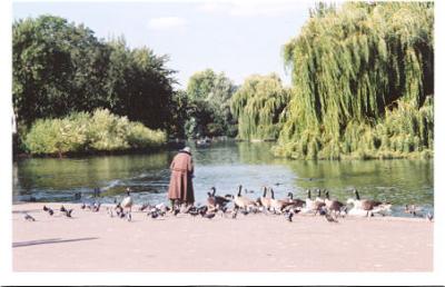 Regent Park- feed the birds.jpg