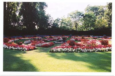 Regent Park flower display.jpg