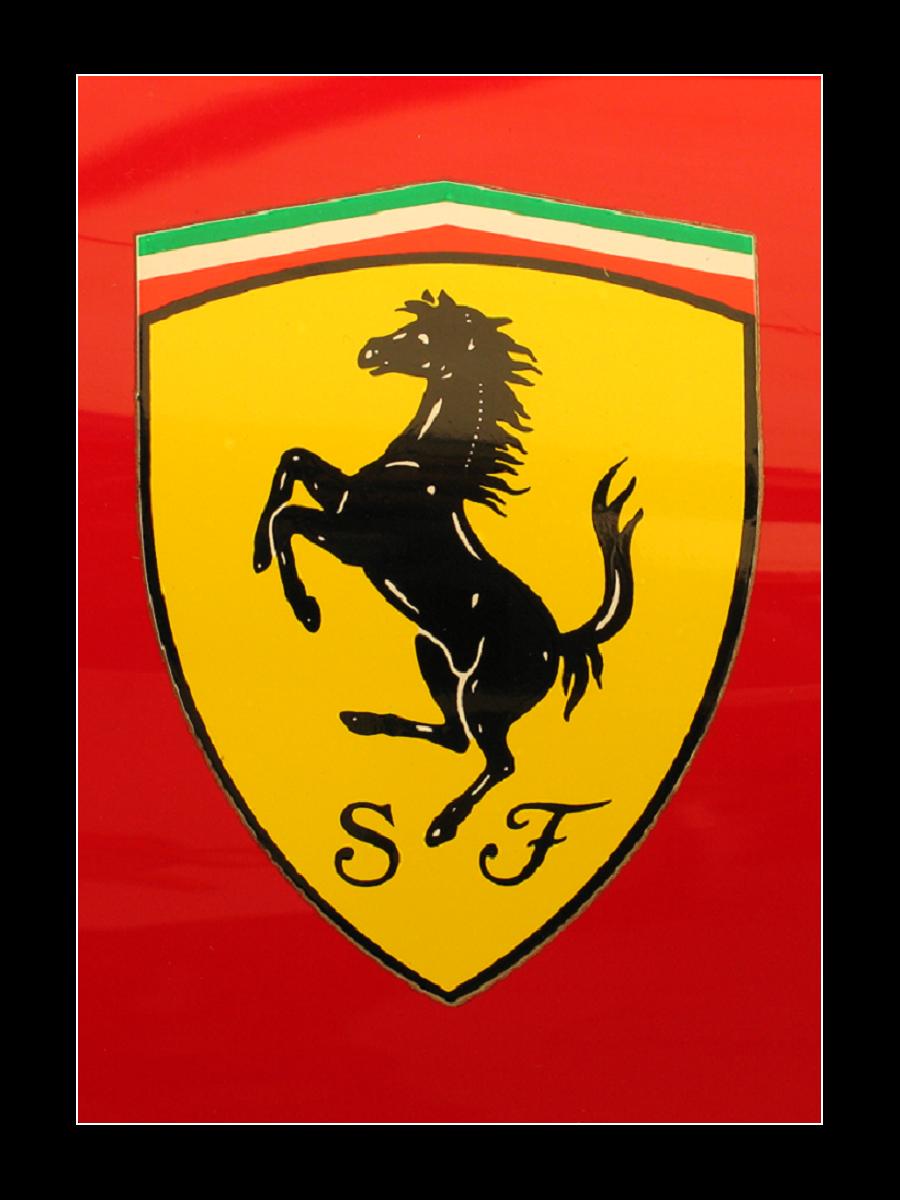 GP1.JPG