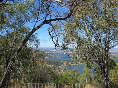 Canberra lakes through the trees