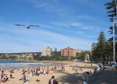 Sydney Manly Beach