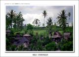 resorts in UBUD