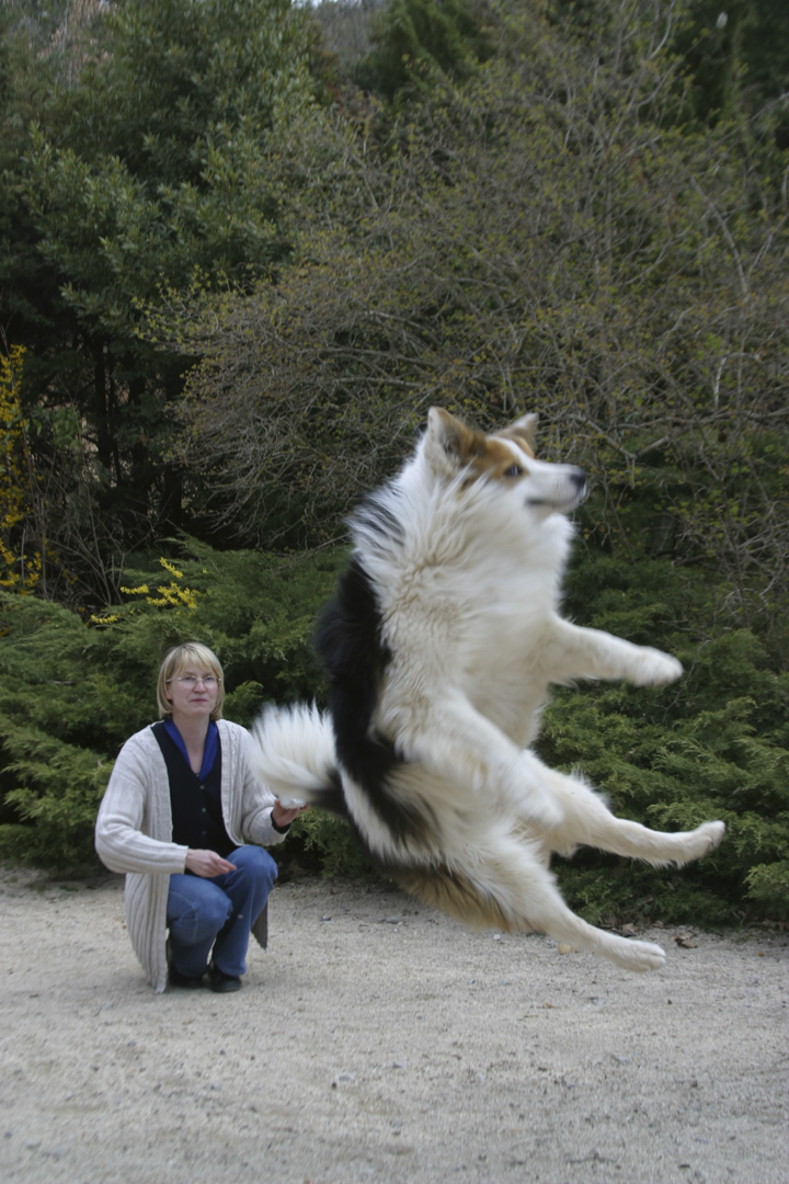 Marita et Miss