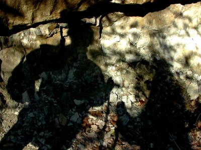 Limestone Shadows