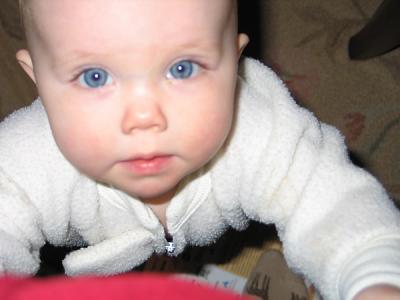 ellie_face_jan04.jpg