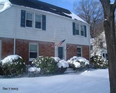 snow_front2.jpg