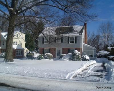 snow_neighbor.jpg