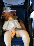 ellie_sleeping_newport04.jpg
