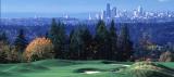 newcastle_bellevue_wa_july02.jpg