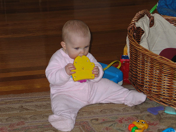 ellie_toys.jpg