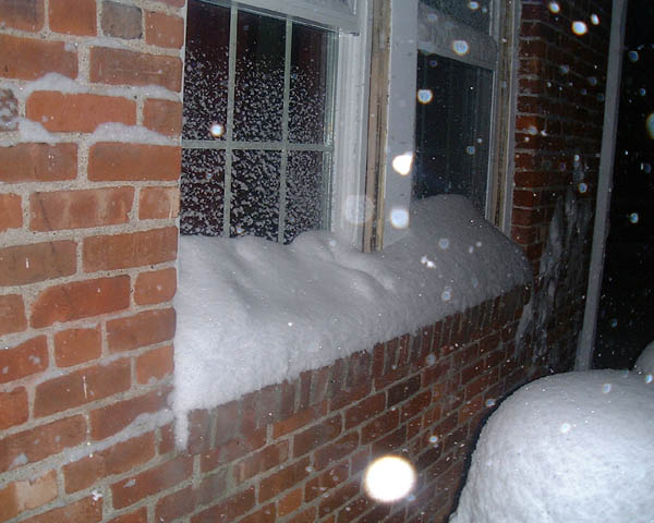 windows.jpg