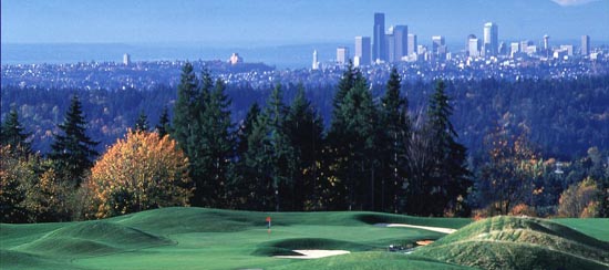 newcastle_bellevue_wa_july02.jpg